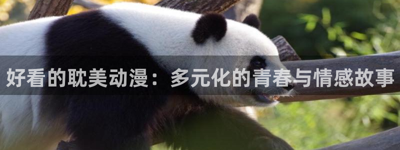 91动漫在线久久：好看的耽美动漫：多元化的青春与情感故事