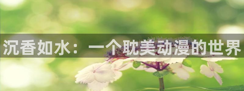 91动漫污秽版：沉香如水：一个耽美动漫的世界