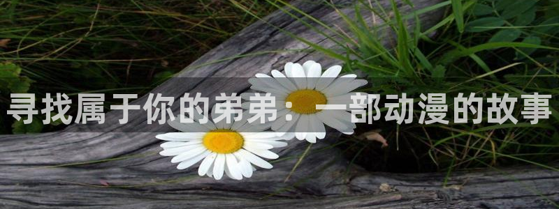 91动漫卡通：寻找属于你的弟弟：一部动漫的故事