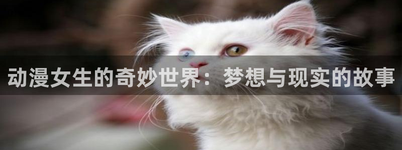 91动漫破解版：动漫女生的奇妙世界：梦想与现实的故事